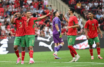 Lions de l'Atlas