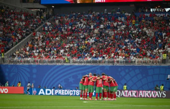 Lions de l'Atlas