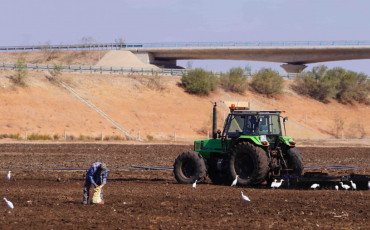 Agriculture - Labour