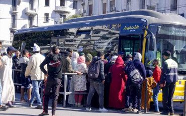 حافلات النقل الحضري - نقل - الدار البيضاء