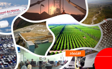 والعناصر المؤطرة للسياسة المساهماتية للدولة تجد مرجعيتها في التوجيهات الملكية السامية الهادفة إلى معالجة الاختلالات الهيكلية للمؤسسات والمقاولات العمومية. وترجمة الرؤية الملكية للإصلاح العميق للقطاع العام تجسدت في إحداث الوكالة الوطنية للتدبير الاستراتيجي لمساهمات الدولة والمصادقة على القانون المتعلق بإصلاح المؤسسات والمقاولات العمومية. وقد اعتمدت التوجهات الاستراتيجية للسياسة المساهماتية للدولة على مبادئ أساسية؛ تتمثل في تحديد أهداف مساهمة الدولة على مستوى القطاعات والمؤسسات والمقاولات العمومية، مع الأخذ ب