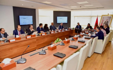 الوكالة الوطنية للتدبير الاستراتيجي لمساهمات الدولة وتتبع نجاعة أداء المؤسسات والمقاولات العمومية