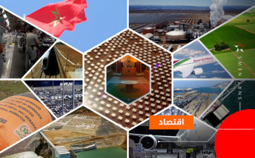 إصلاح قطاع المؤسسات والمقاولات العمومية