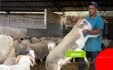 عيد الأضحى