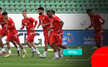 أسود الأطلس