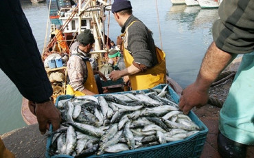 Pêche