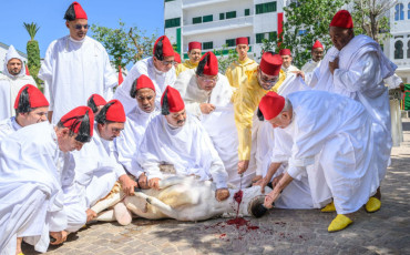 Mohammed VI