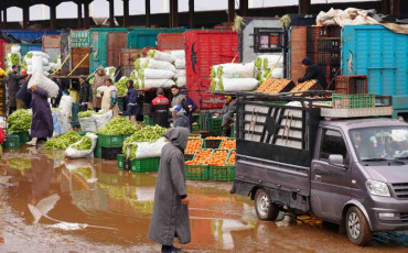 سوق الجملة للخضر والفواكه بالدار البيضاء 