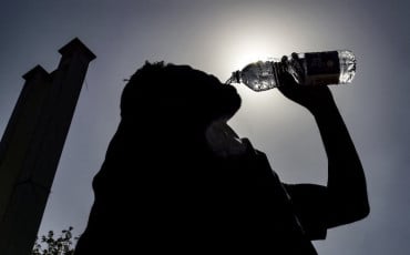 Canicule