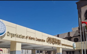 منظمة التعاون الإسلامي 