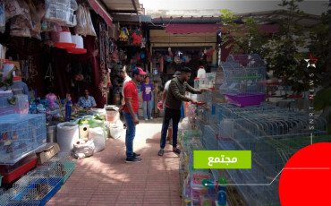سوق الحيوانات 