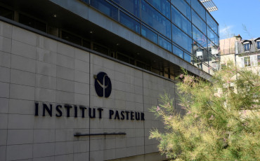 Institut Pasteur
