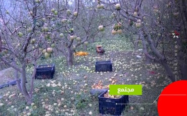 بني ملال