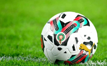 كأس التميز - البطولة الاحترافية