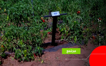 شجرة إلكترونية