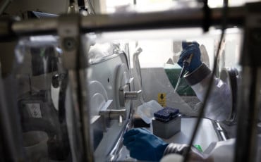 Chasseurs de virus