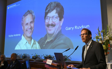nobel medcine