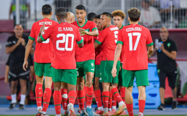 Lions de l'Atlas