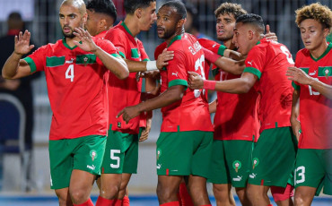 Lions de l'Atlas