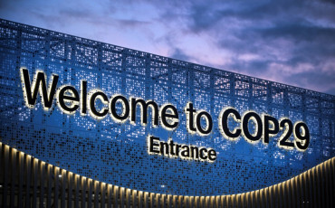 COP 29