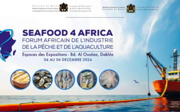 Seafood 4 Africa 2024
