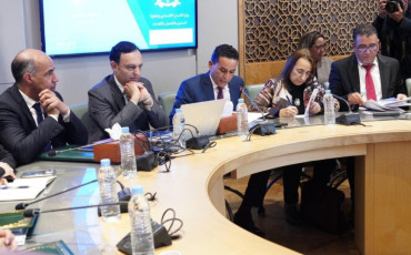 لجنة القطاعات الاجتماعية بمجلس النواب 