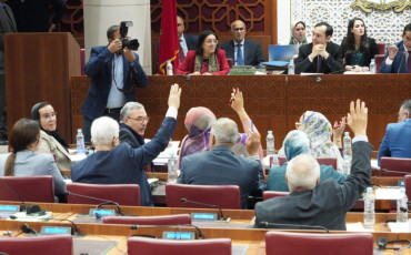 لجنة القطاعات الاجتماعية بمجلس النواب 
