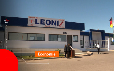 Leoni