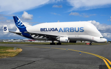 Beluga Airbus