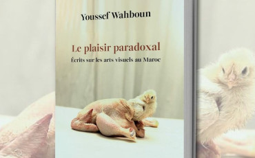 Plaisir Paradoxal