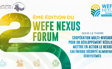 Nexus