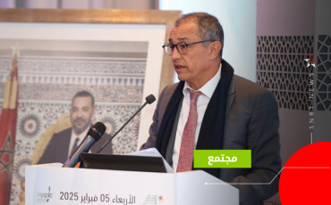 أحمد رضا الشامي 