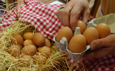 oeufs
