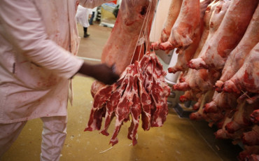 viande