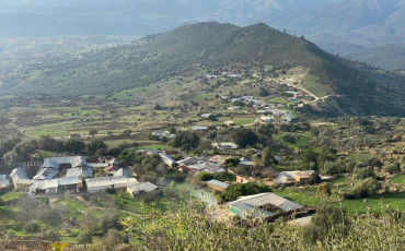 بريشكة