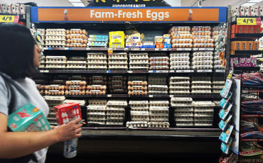 Oeufs