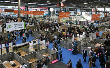 Salon de l'agriculture