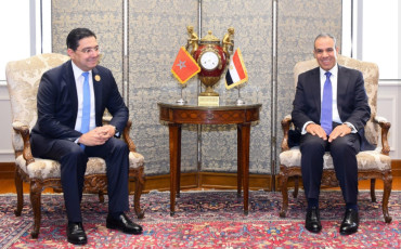 ناصر بوريطة مع نظيره بجمهورية مصر العربية