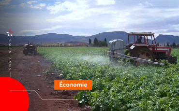 Agriculture