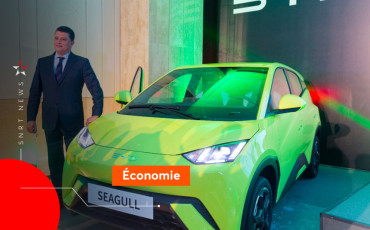 BYD SEAGULL