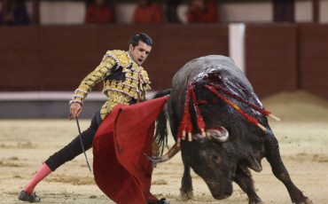 Corrida