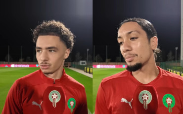 les lions