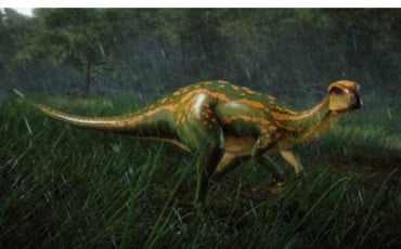 Cerapoda