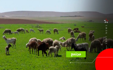 أمطار الرحامنة