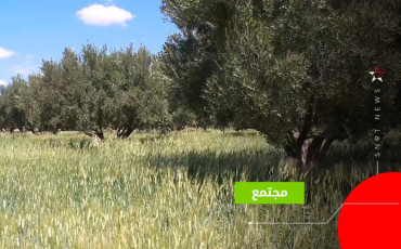 أمطار مراكش
