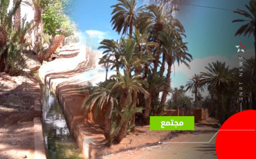 oasis