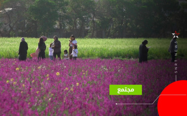 غابة الشلالات المحمدية