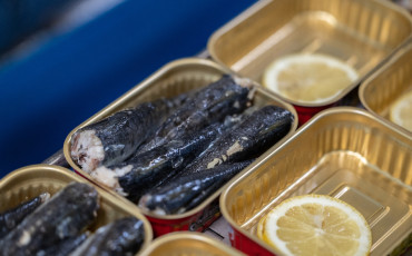 Sardine 