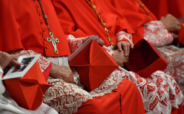 cardinals