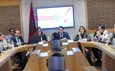 لجنة القطاعات الاجتماعية بمجلس النواب - وزيرة التضامن